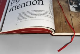 gebr-silvestri-DTD-6-close