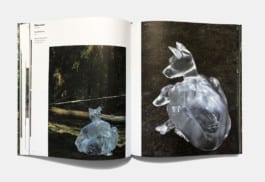 gebr-silvestri-Delirius-Lustarande-12