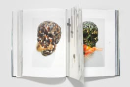 gebr-silvestri-Hortus-Corpus-4