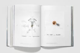 gebr-silvestri-Hortus-Corpus-5