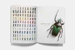 gebr-silvestri-Longbarn-6