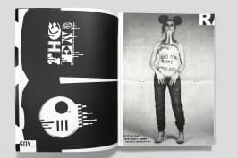 gebr-silvestri-Rauw-2v