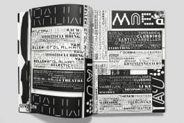 gebr-silvestri-Rauw-3v