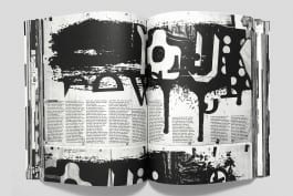 gebr-silvestri-Rauw-5v