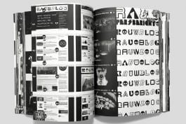 gebr-silvestri-Rauw-6v