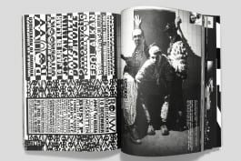 gebr-silvestri-Rauw-7v