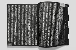 gebr-silvestri-Rauw-8v