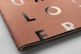 gebr-silvestri-Ulf-Moritz-Marburg-close-up-1