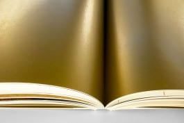 gebr-silvestri-hermitage-catalogus-gold