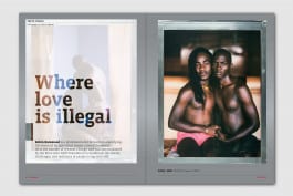 gebr-silvestri-Hello-Gorgeous-06