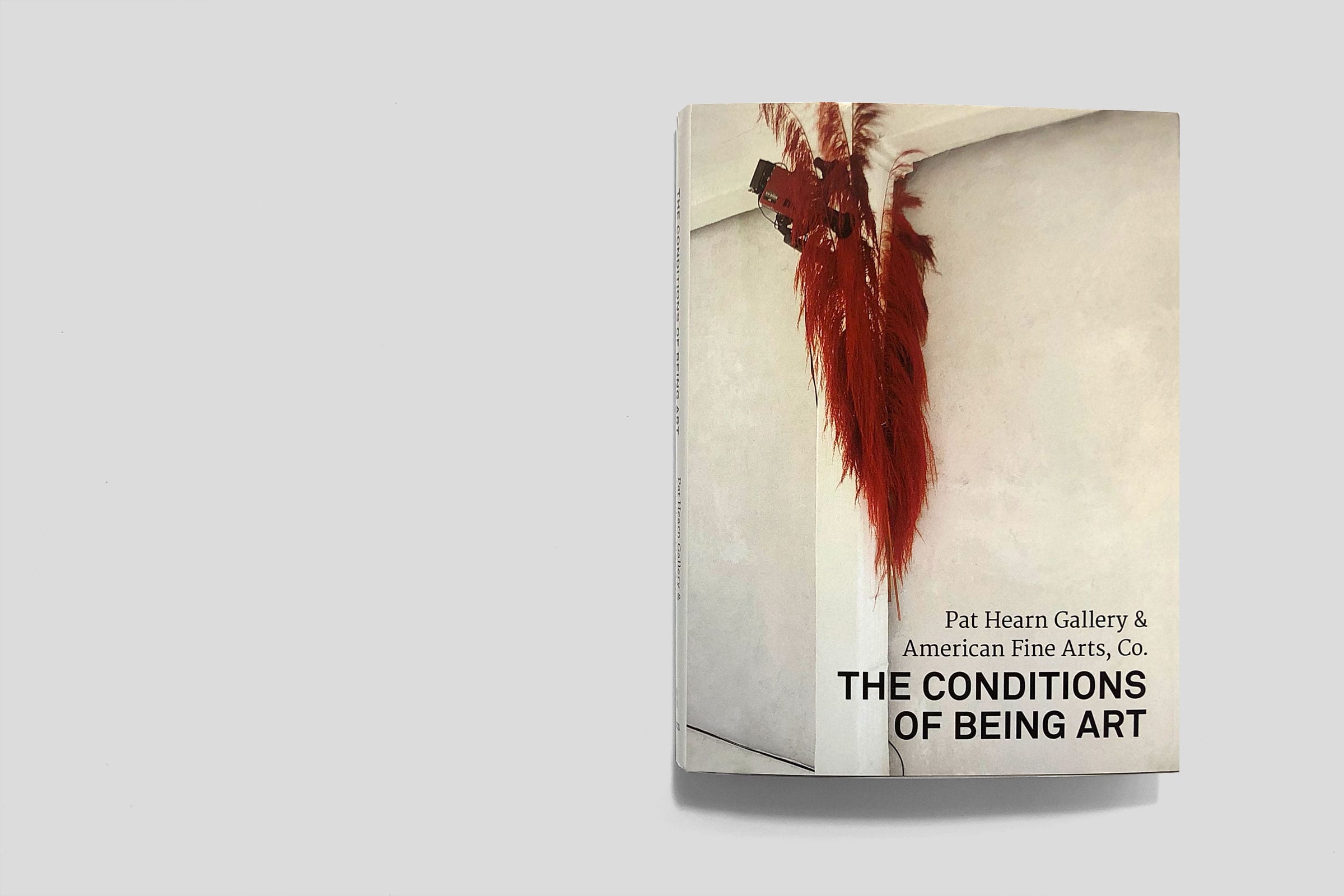 Gebr. Silvestri xSITE – ‘The conditions of being art: Pat Hearn Gallery and American Fine Arts, Co.’