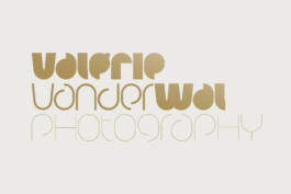 gebr.silvestri-Logo-Valerie-v2