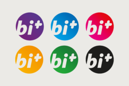 gebr.silvestri-Logo-bi+