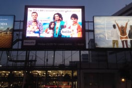 gebr.silvestri-PositivelyDutch-3