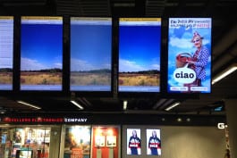 gebr.silvestri-PositivelyDutch-4