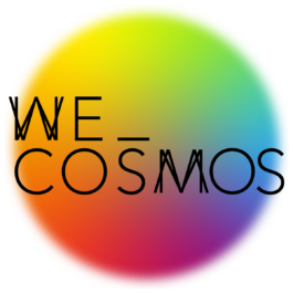 WE_COSMOS_INSTA-rond 