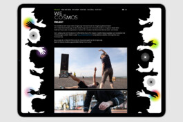 gebr-silvestri-WE_COSMOS-www