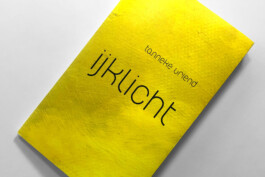 gebr-silvestri-Tanneke-Vriend_Ijklicht-cover-1