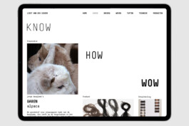 gebr-silvestri-knowhowwow-www-4