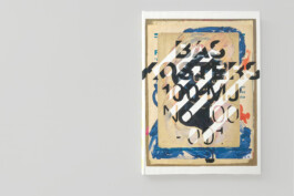 gebr.silvestri-Bas-Kosters-MJ-Cover