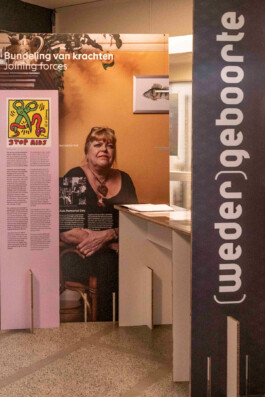 gebr-silvestri-House-of-HIv-6630-uitsnede1