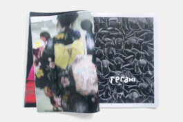 gebr-silvestri_huq-rugs_2400-1600-g-6