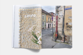 gebr-silvestri_huq-rugs_2400-1600-g-8