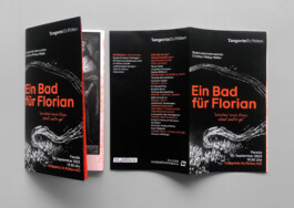 gebr-silvestri-CPM-St.Pölten-flyer