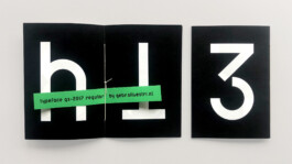 gebr-silvestri-GS-booklet-2017-2-v3