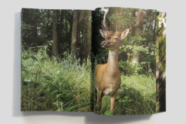 gebr-silvestri-Marieken-Verheyen-Realms-Reviere-11