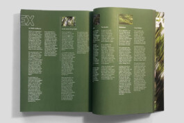 gebr-silvestri-Marieken-Verheyen-Realms-Reviere-12
