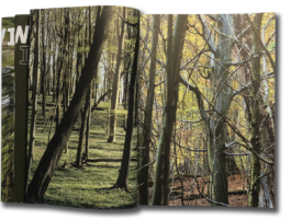 gebr-silvestri-Marieken-Verheyen-Realms-Reviere-spread-3 