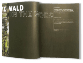 gebr-silvestri-Marieken-Verheyen-Realms-Reviere-spread-5 