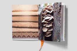 gebr-silvestri_Liset-van-der-Scheer_Fascination-Textile_3