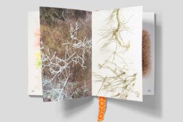 gebr-silvestri_Liset-van-der-Scheer_Fascination-Textile_7