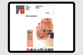 gebr-silvestri-House-of-hiv-www