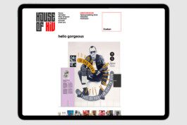 gebr-silvestri-House-of-hiv-www